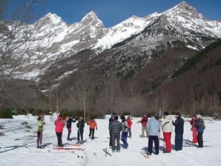  Cross-country skiing group 